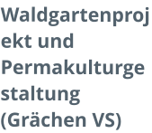 Waldgartenprojekt und Permakulturgestaltung (Grächen VS)