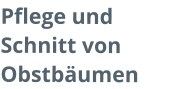 Pflege und Schnitt von Obstbäumen